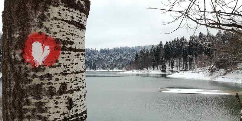 Lokvarsko See