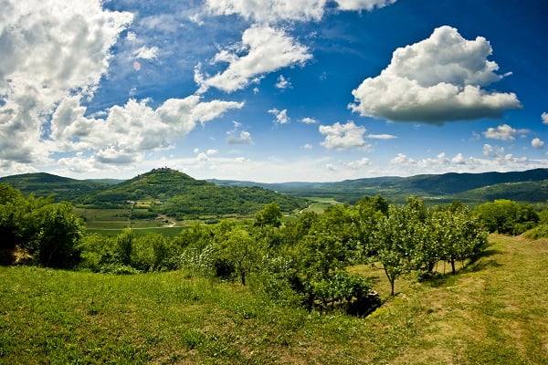Motovuner Wald, Kroatien