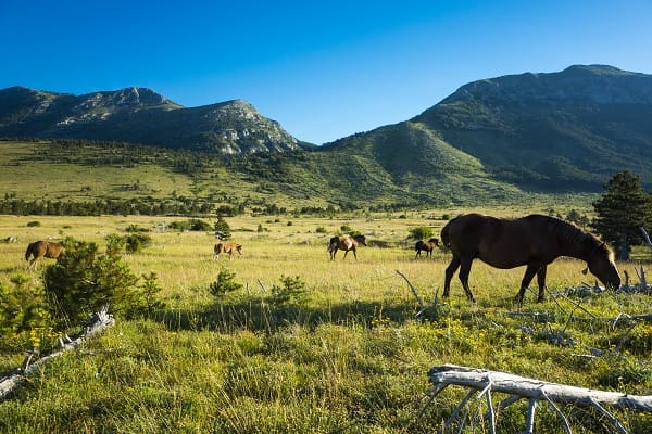 Velebit Naturpark - Kroatien